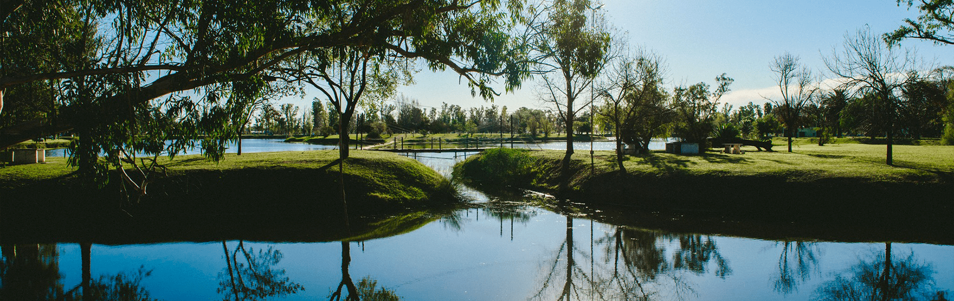 Atardecer en el parque, vista de la laguna y la vegetación