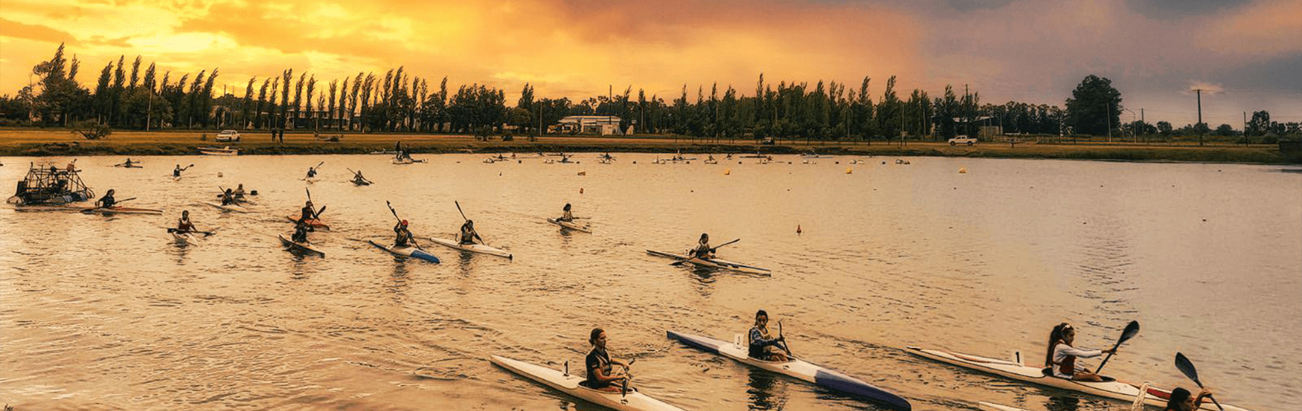 Palistas practicando remo en la laguna del parque.